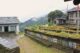 Image gallery image