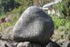 Image gallery image