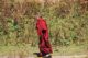 Image gallery image